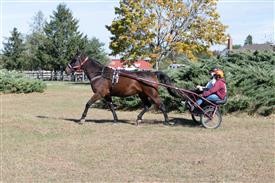 LR-WRF 10182025 Retreat-6548